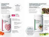 Wellness_2025-страница-66
