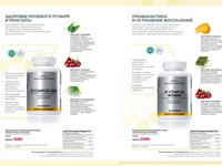 Wellness_2025-страница-36