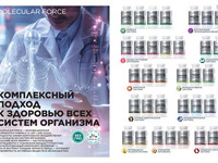 Wellness_2025-страница-14