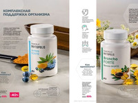 Wellness_2025-страница-65