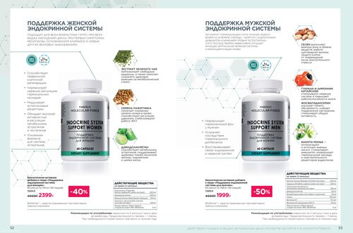 Wellness_2025-страница-26