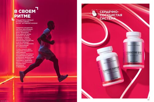 Wellness_2025-страница-33
