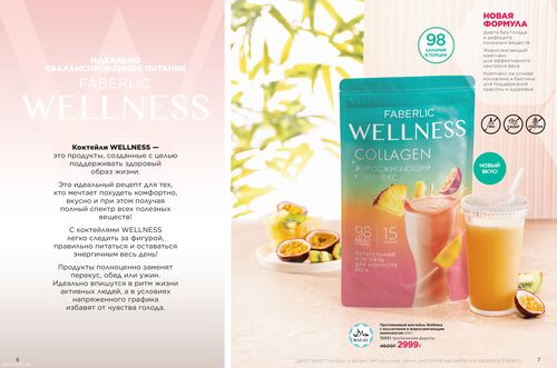 Wellness_2025-страница-3