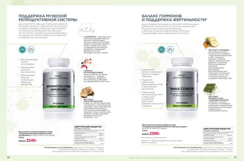Wellness_2025-страница-18