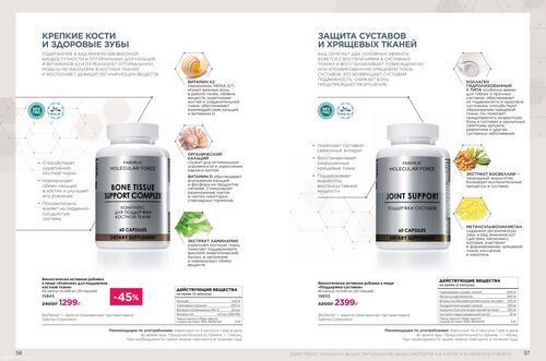 Wellness_2025-страница-28