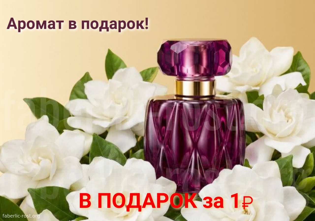 подарок новичку